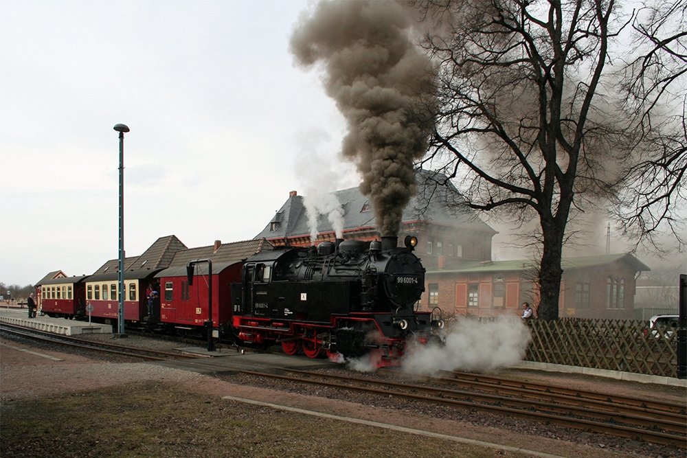 99 6001 der HSB mit HSB 8955 (Gernrode - Alexisbad) kurz nach der Abfahrt in Gernrode (13.03.2011)
