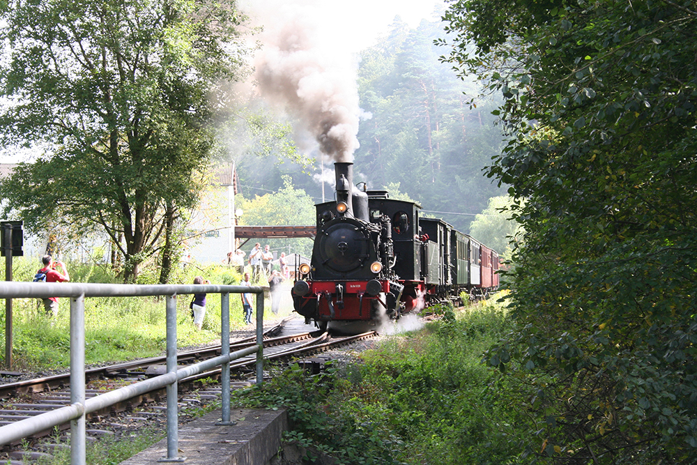 Lok  Speyerbach  am Museumszug  Kuckucksbhnel  von Neustadt/Weinstrae nach Elmstein bei der Abfahrt in Erfenstein (14.08.2011)