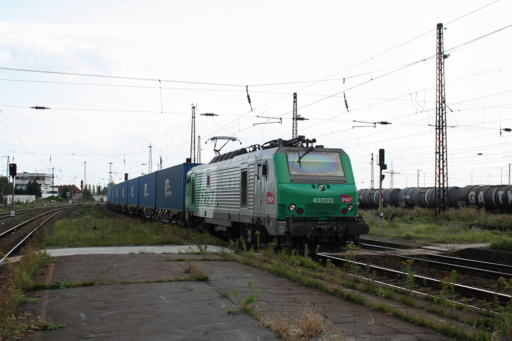 SNCF 437023 mit dem bekannten Containerzug  Blaue Wand  von Culmont-Chalindrey nach Malaszewiece/PL (Grokorbetha, 23.09.2011)